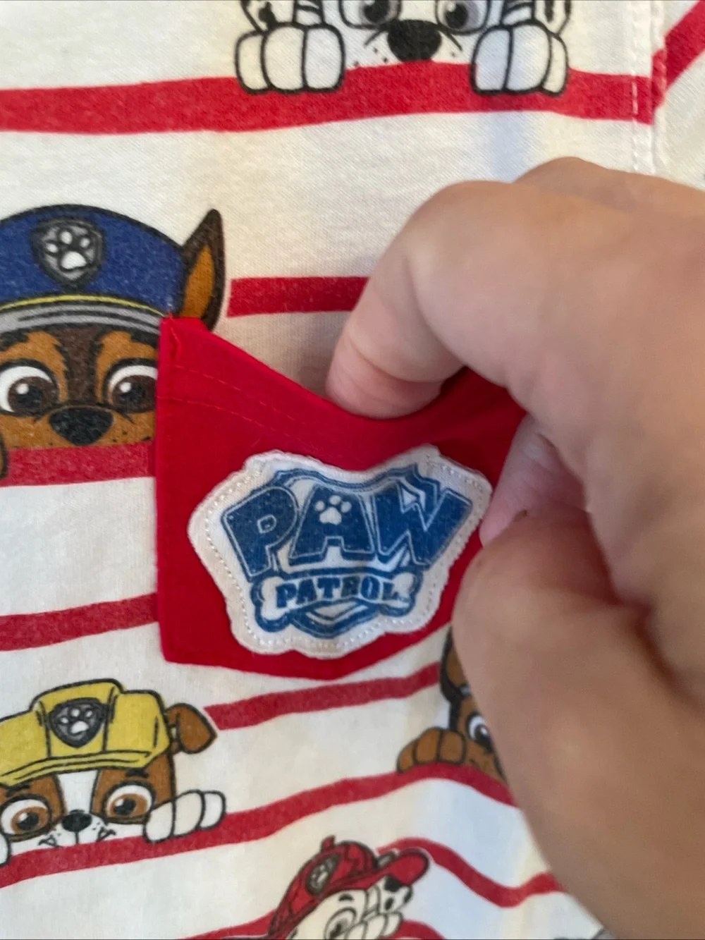 Lot of 2 Paw Patrol Boys Size 4T Short Sleeve T-Shirts